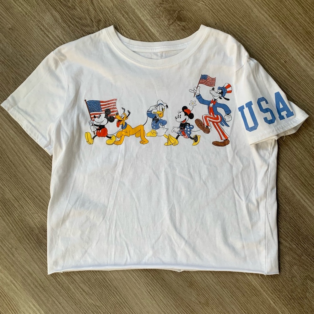 Classic Disney Parks USA Cropped Tee